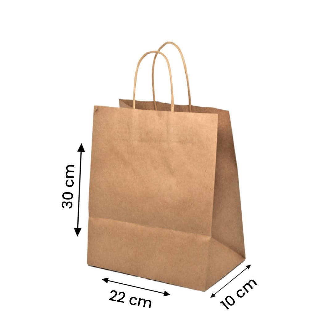 BOLSA PAPEL C/MANILLA 22*10*30CM                  