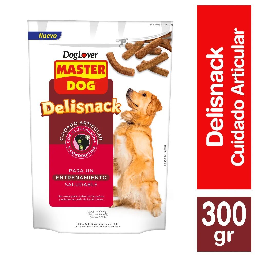 MASTER DOG DELISNACK ARTICULAR 12X300 GR          